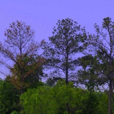 开运全站手机网页登录