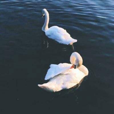 星空下载手机app下载