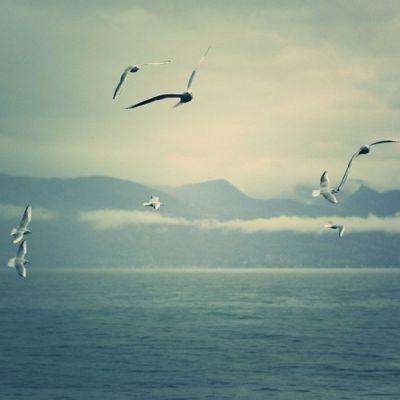 江南官方网站下载下载手机版截图