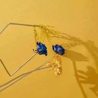 云顶集团手机app下载