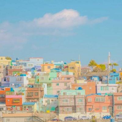 im电竞官网手机app下载